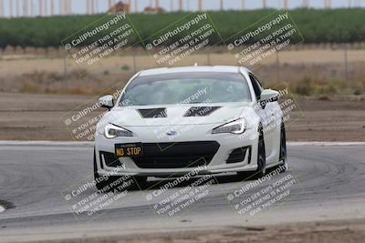 media/Jul-31-2022-Speed Ventures (Sun) [[bfb4b6530b]]/Black Group/Grapevine/
